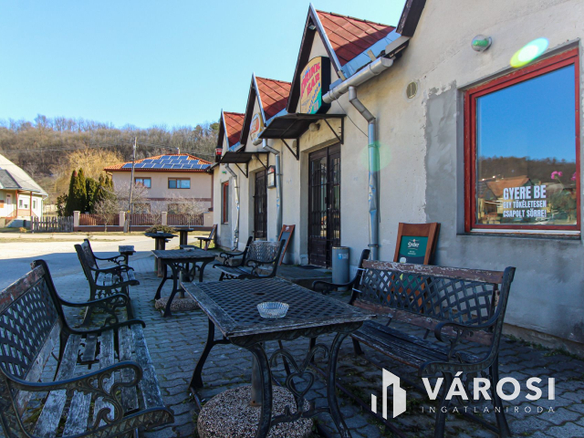 Müködő vendéglátó egység kiadó Dágon