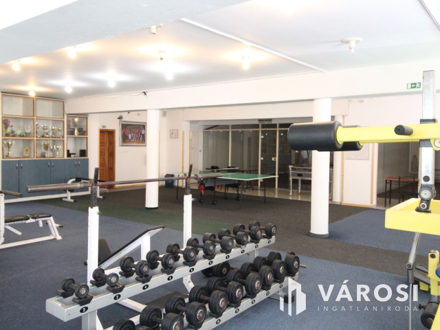 Békéscsabai paradicsom