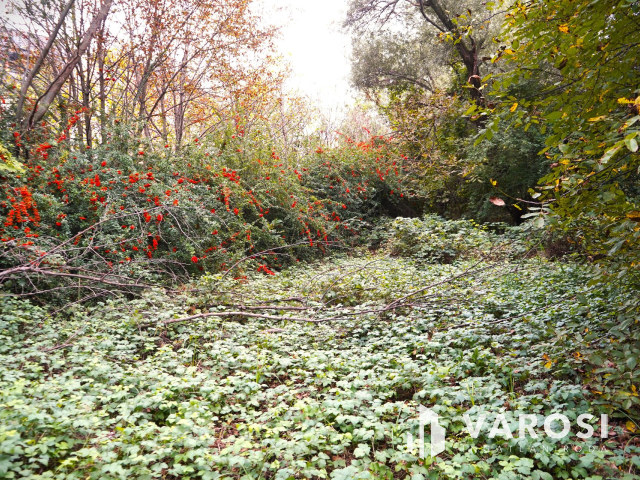 Győr-Révfaluban telek eladó!
