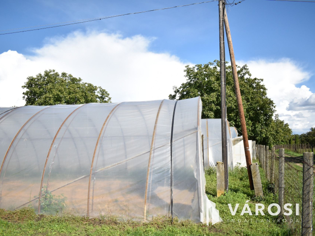 Kiváló lehetősség termelőknek!