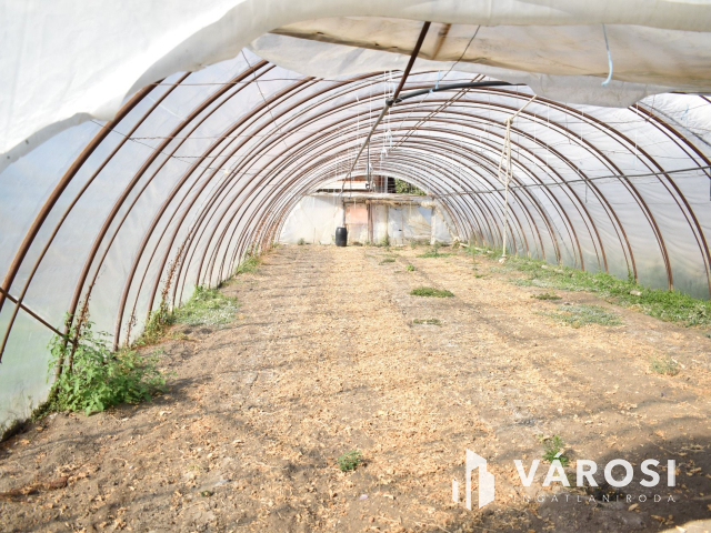 Kiváló lehetősség termelőknek!