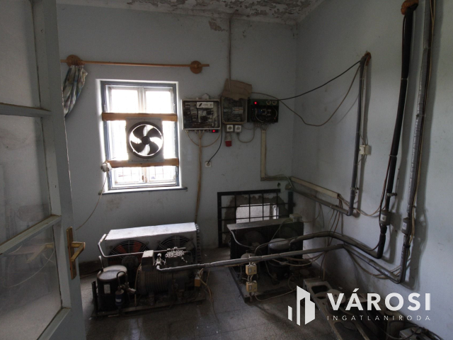 Szabad tartású mangalica telep, kiváló befektetési lehetőség