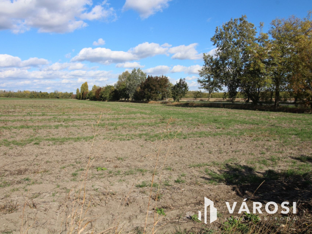 16,5 Ha szántó tanyával együtt eladó!