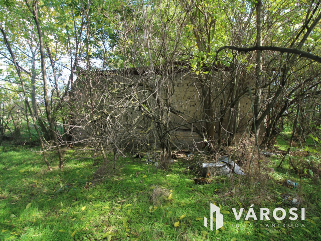 16,5 Ha szántó tanyával együtt eladó!