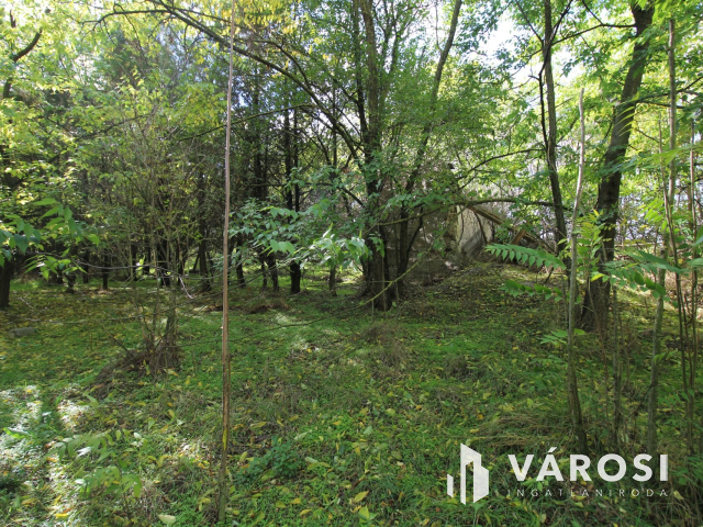 16,5 Ha szántó tanyával együtt eladó!