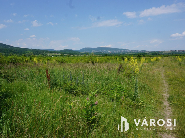 Új parcellázású, 2000nm-es telek Pomázon!