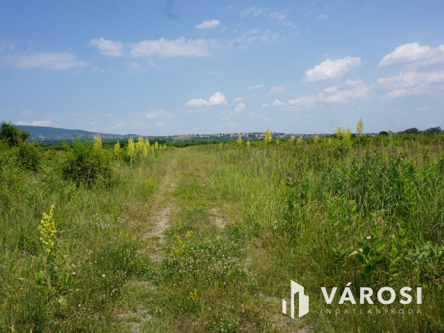 Új parcellázású, 2000nm-es telek Pomázon!