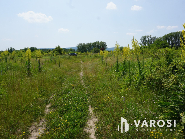 Új parcellázású, 2000nm-es telek Pomázon!