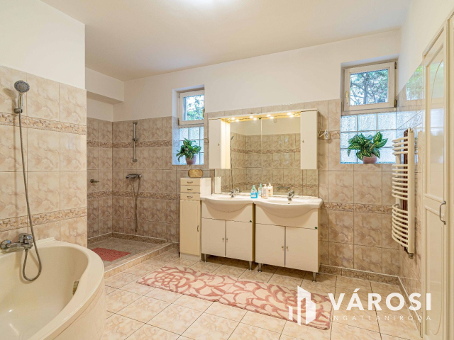 Presztizs tökéletes udvarral Újszegeden