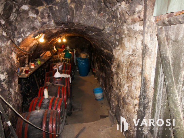 Belterületi nagyméretű telek présházzal és szőlővel Únyon