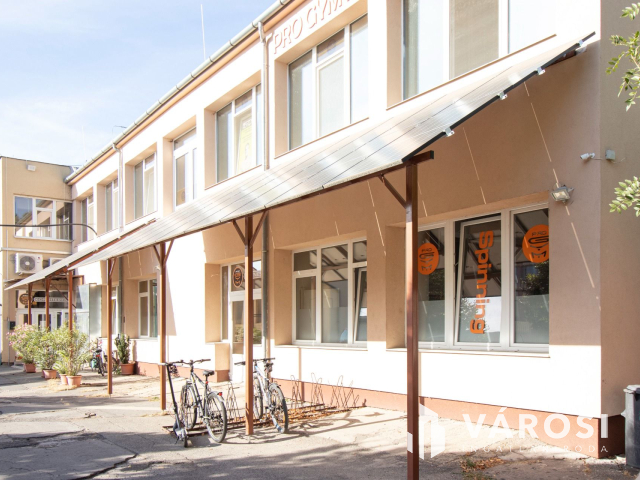 Korszerű ipari ingatlan napelemmel, városközpontban!