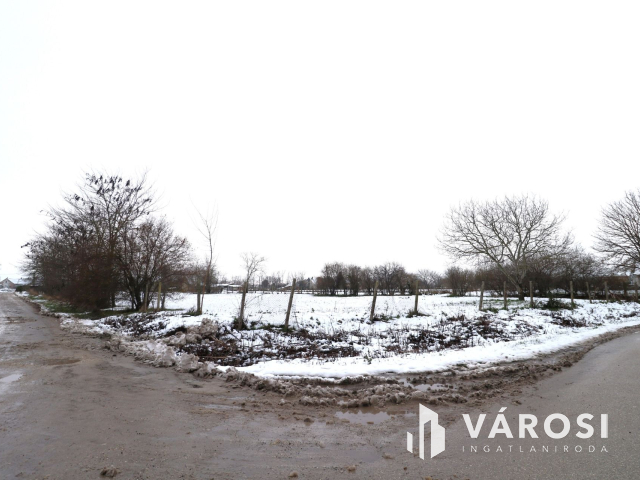 Nagy telek a béke szigetén