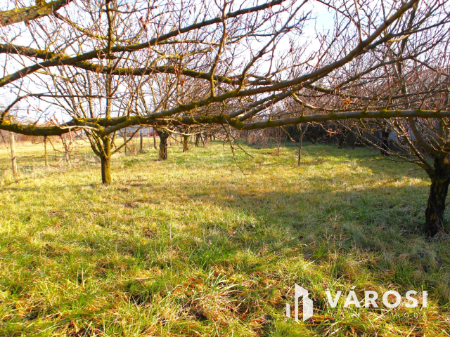 Két lakóingatlan a város peremén, értékes ipari területen