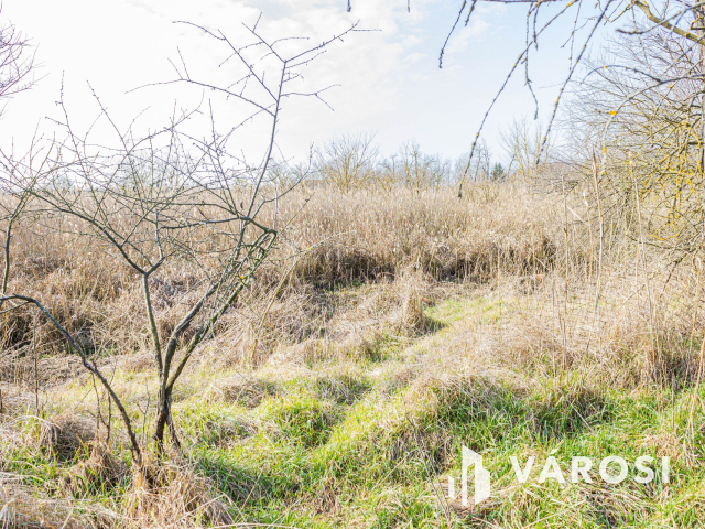 Tanya az Őszeszéki tó partján  M5-ös autópályától 2 percre