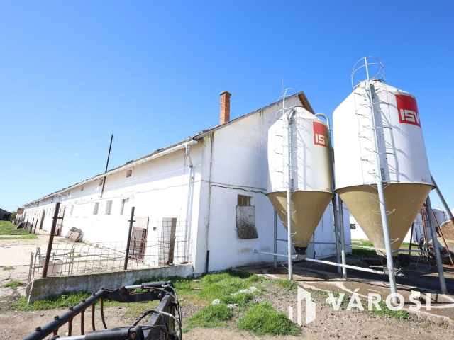 Eladó sertéstelep Szeghalom határában 11 ha területen