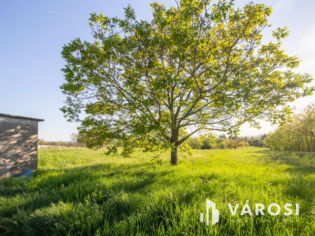 Panoráma, csend, napfény - kezdj építkezni itt!