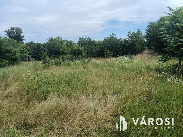 Családi ház Szalkszentmártonban eladó!