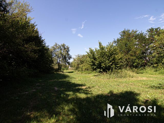 Saroktelek a szlovén határ mellett!