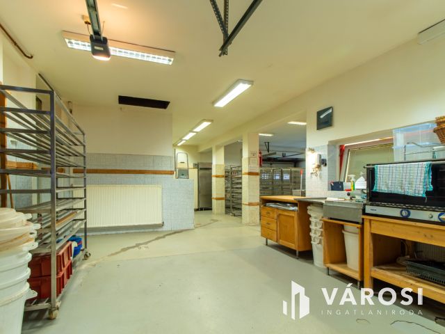 Családi ház és üzleti ingatlan egyben eladó Pátyon !