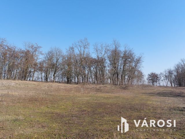 16 hektáros, sokoldalúan hasznosítható terület eladó