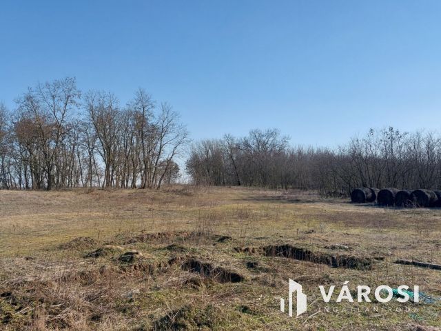 16 hektáros, sokoldalúan hasznosítható terület eladó