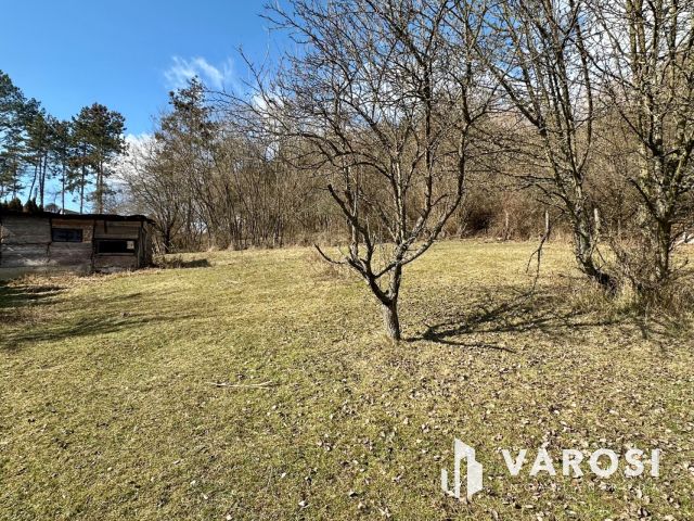 Károlyi csendes részén, felújítandó családi ház eladó!