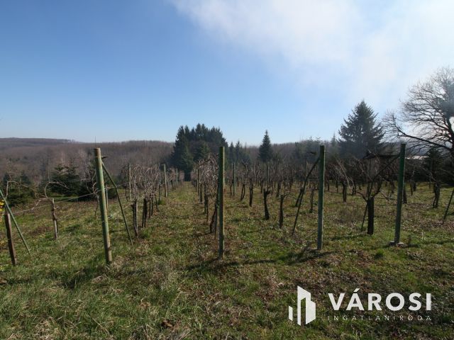 Nagykanizsa közelében csodálatos birtok, lakható épülettel