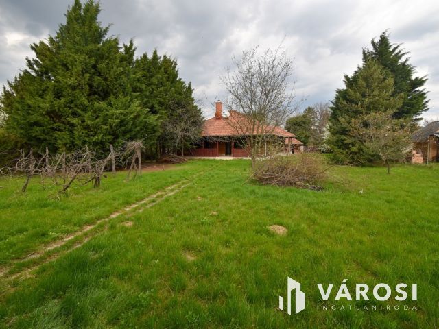 Természetesség és Wellness élmény Győrságon