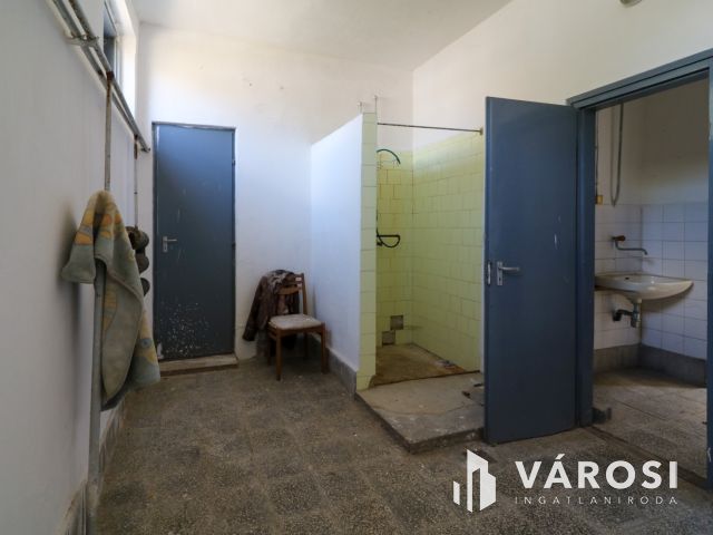 Eladó ipari ingatlan – nagy terekkel és saját kúttal!