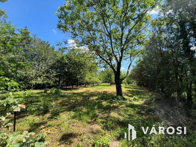 Kétgenerációs, külön bejáratú hangulatos otthon