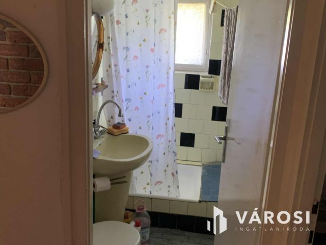 Tiszalökön, közvetlen a Tisza parton nyaraló eladó!