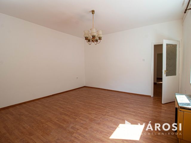 Belváros közeli udvari lakás zöld területtel, 2 garázzsal