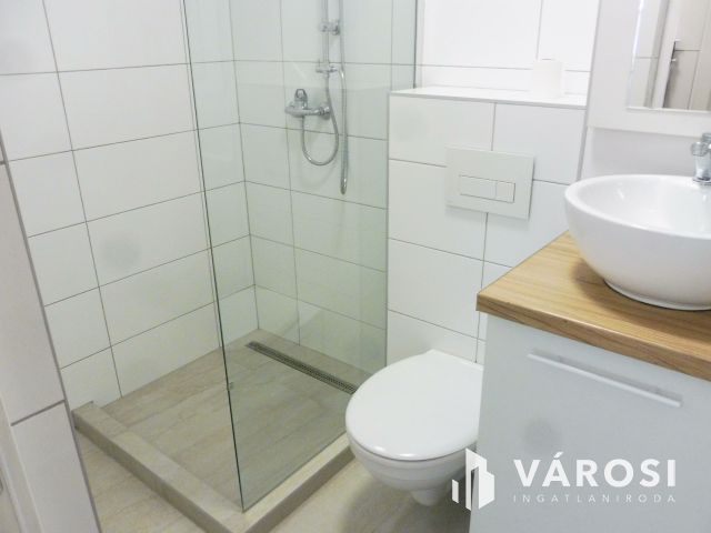 Igényes kis lakás üzleti tevékenységre kiadó.