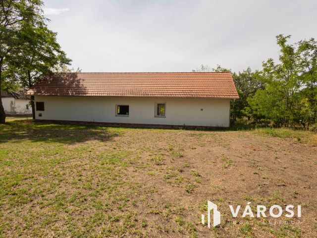 Teljesen felújított tanya nagy területtel és vízparttal