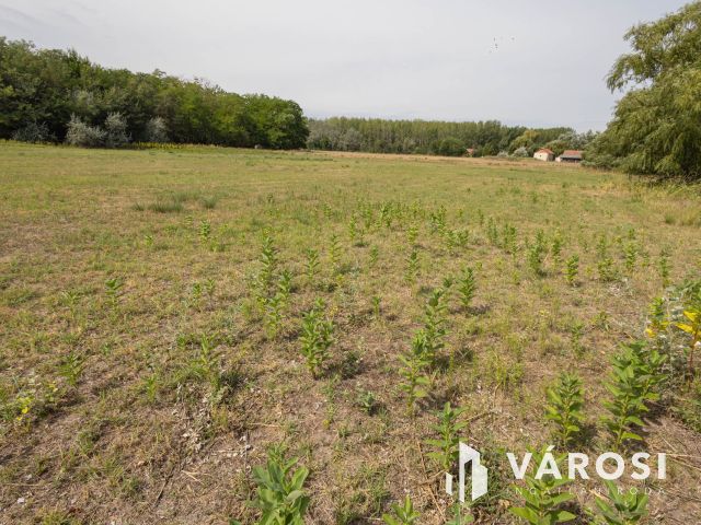 Teljesen felújított tanya nagy területtel és vízparttal