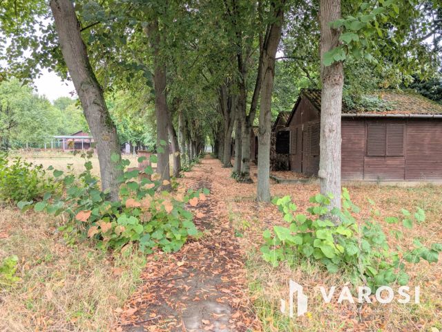 Nyaralókomplexum Szarvason-Kivételes Lehetőség a Vízparton!