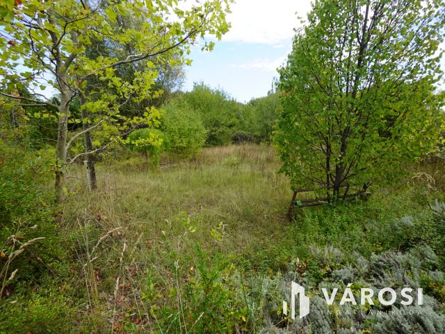 Hatalmas telek eladó Ecseren!