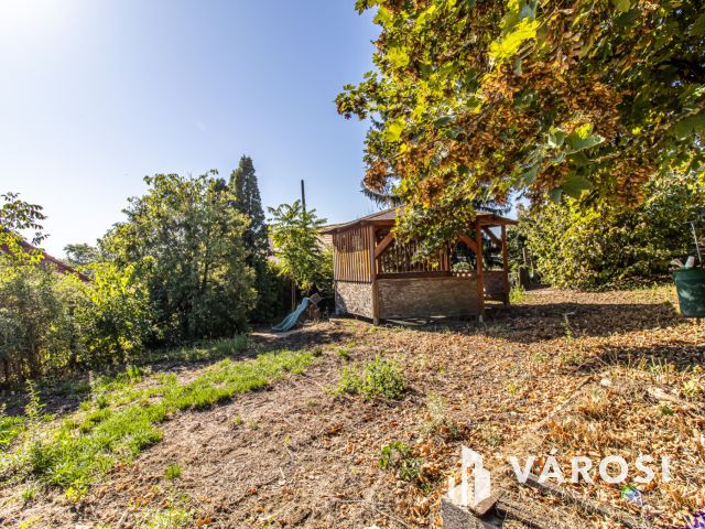 Duna parti családi otthon nagy telekkel