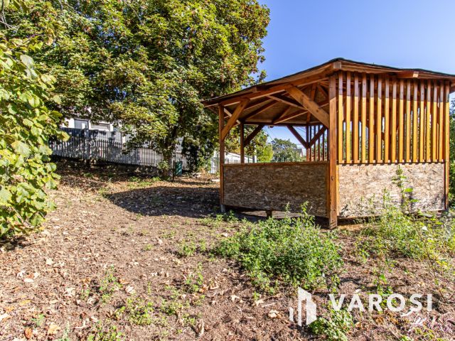 Duna parti családi otthon nagy telekkel