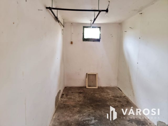 Vízpart közeli telken, kiváló szerkezetű tégla ház eladó