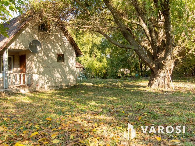 Patakparti építési telek Tinnyén – csak készpénzes vevőknek