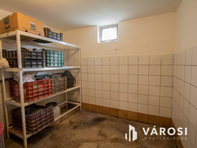 Eladó Lenti hegyi ingatlan, csodás területtel együtt.