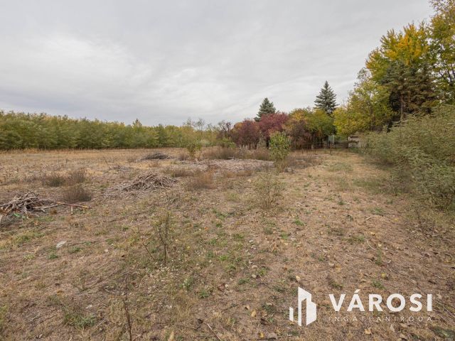 Vadkerti tó mellett teljes a nyugalom