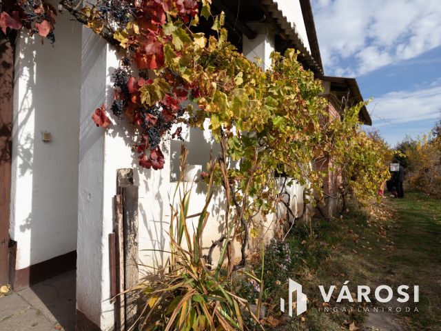 Társasházi kertes ház Dorozsmán