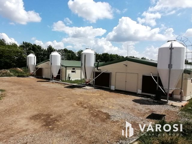 Multifunkciós Majorság 6 hektáron