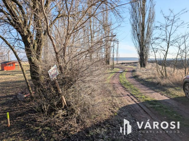 Vízparti telek a Borosgyáni tavaknál!