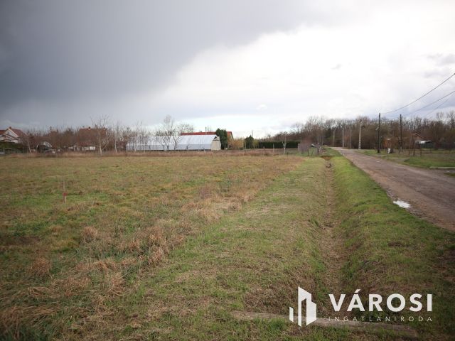 Eladó építési telek Deszk kiváló részén!