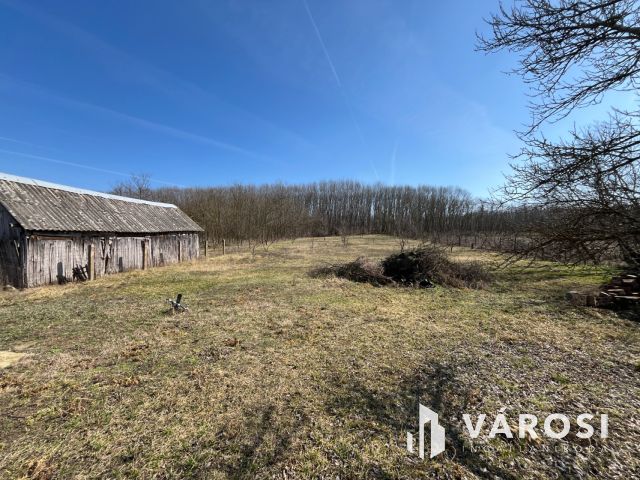 Nyírábrányban Parasztház melléképületekkel Eladó!