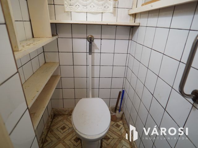 Teleki utcában, udvari lakás kis zöldterülettel