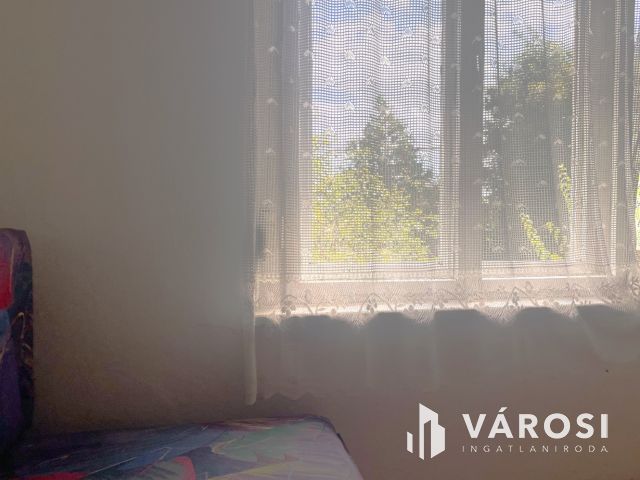 Nagy telek, nagy ház a belvárostól 5 percre